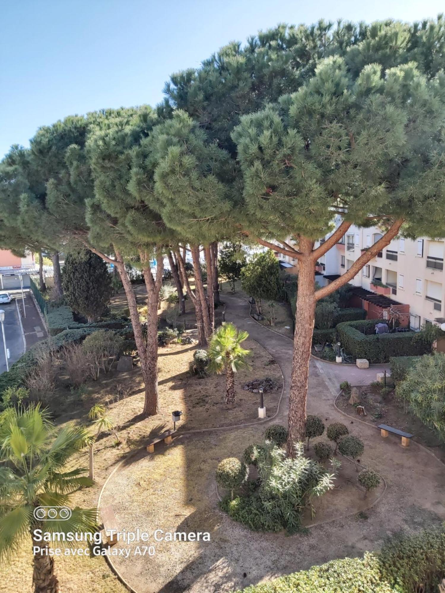 Coquet Studio Centre Port Cap D'Agde Eksteriør billede